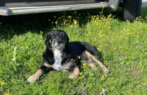 Pôr-do-sol Villa - Foto 48