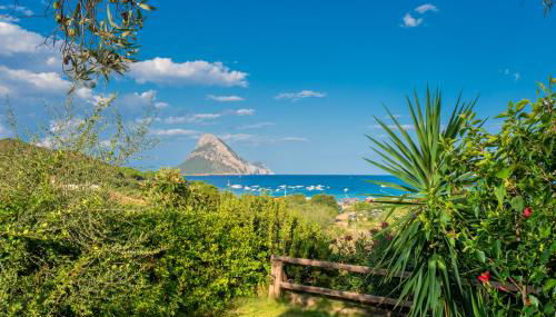 Casa Vacanza Porto Taverna - Photo 3