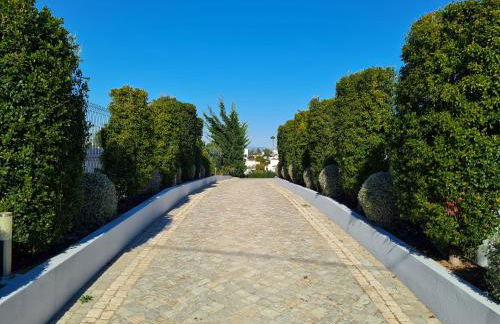 CASA LIMÃO - Private Pool & Garden - Beach & Center 650m - Foto 47