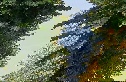 Casa Di Collina Nelle Langhe Typical Country House - Foto 21