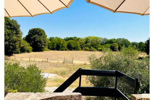 La Madeleine Arles - Foto 63