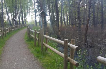 Magico Posto - Foto 64