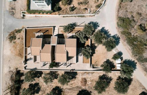 PETRINO FOINIKOUNTA - Foto 27