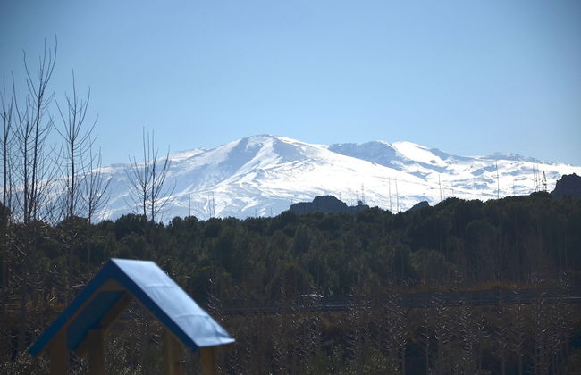 Cueva El Cortijo Gachas - Foto 33