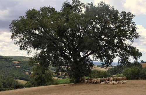 Agriturismo La Meria - Foto 57