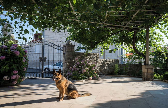 Apartment Vukic - Photo 13