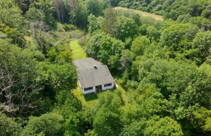 Waldhaus Nitztal - Foto 1