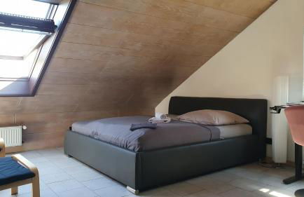 1 Zi DG-Apartment in Bad Friedrichshall-Jagstfeld - Foto 43