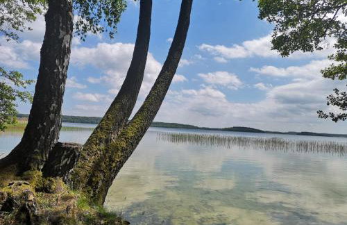 Grzybowo Dom wakacyjny - Foto 21