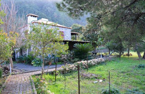 Solar Arco de São Jorge - Foto 32