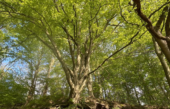 Willa Słoneczko - Foto 75