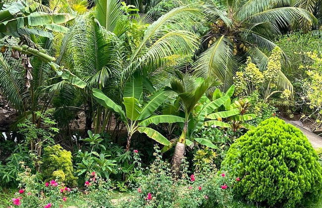 Paul's Residence - Foto 33