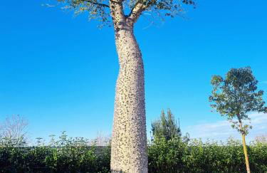 Ro agrimaison - Foto 102