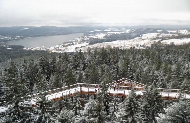 Charming 3-bed Villa in Lipno nad Vltavou - Photo 33