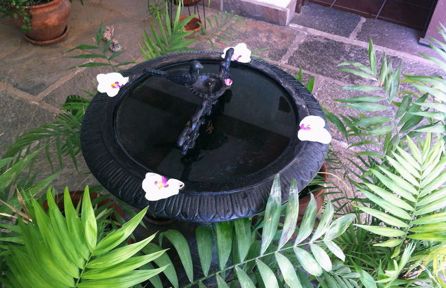 Finca Vista Bonita - Foto 24