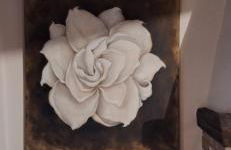 Casa del Contadino Rapale - Foto 39