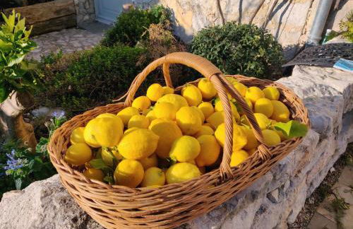 Le Mas Saint Pierre - Foto 28