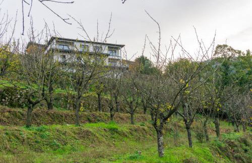 Cherry Douro Hill - Foto 21