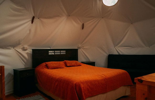 Cabañas Ensenada Bosque Nativo - Foto 25