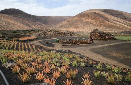 Casa Mykonos 1° linea de mar en Playa Blanca - Photo 56
