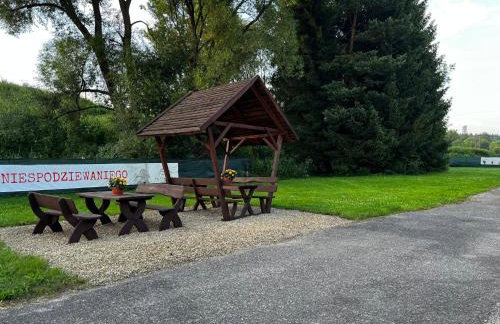 Ośrodek VolfCamp Kwaszenina - Foto 63