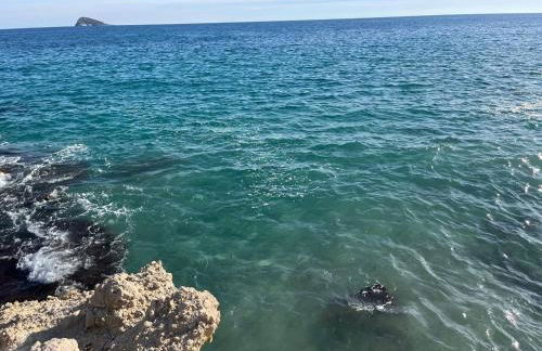 Vila Park 13 - Photo 42