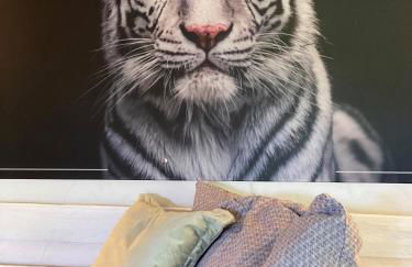 Maisonette Eifel, mit Sauna und Whirlpool - Foto 12