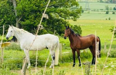 Turnpike House - Foto 77