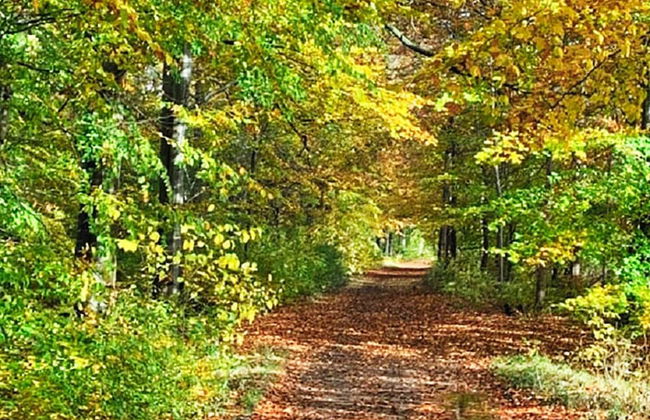 5 Person Holiday Home in Halmstad-by Traum - Foto 26