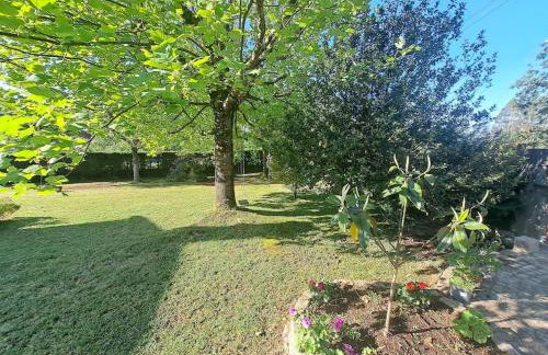 Casa Olga - Photo 23
