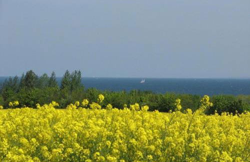 Ground-floor Getaway With Garden - Foto 71