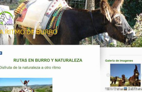 Numancia 12 - Foto 80