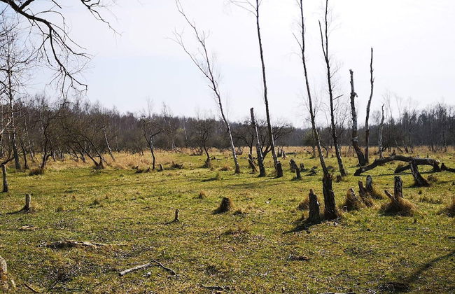 10 Person Holiday Home in Dragor-by Traum - Photo 14