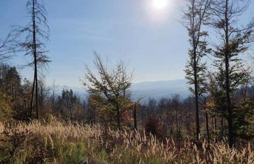 Pokoje z Widokiem na Szczyrk - Foto 22