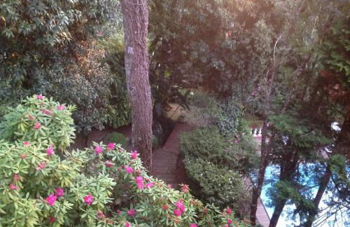 Hospedagem Casadalee chalé com piscina privativa aquecida e Apartamento sem piscina - Foto 64