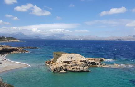 Finca Santa Maria - Foto 30