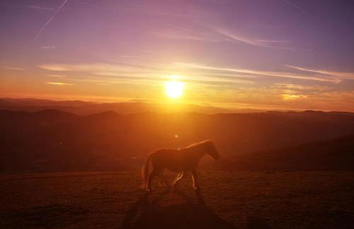Alloggio Turistico Gasparrini - Foto 28