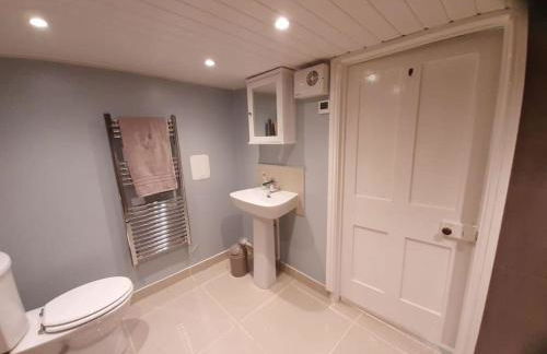 Selah Teifi spectacular river view with games room - Photo 26