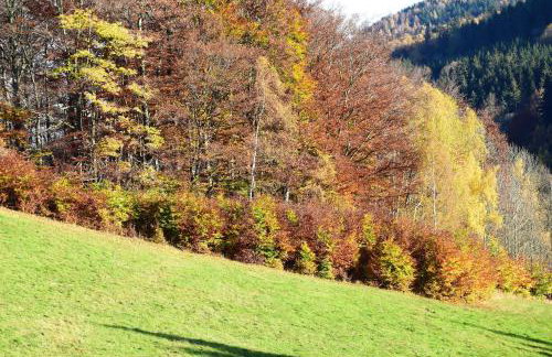 Studio Gościnne ANTEK - Foto 20