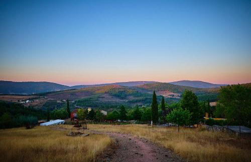 Quinta do Barrieiro - Art Selection by Maria Leal da Costa - Foto 50