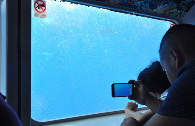 Glass Bottom Boat Cruise - Foto 8