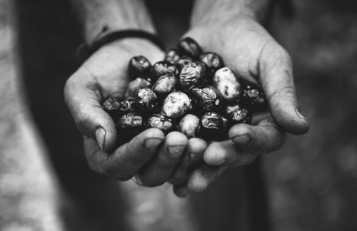 Agroturismo Can Torna AG178 - Photo 29