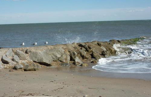 335 Palmetto Walk - Locke Nest III - Foto 23