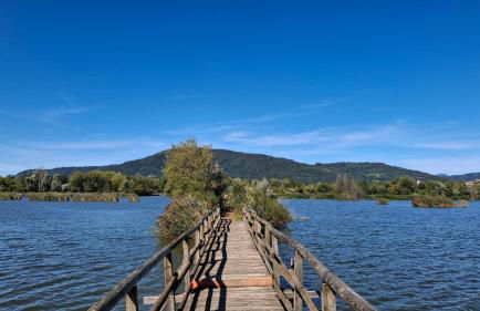 Cavallo Blu - Foto 19