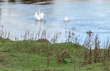 High Oak Holiday Cottage - Foto 22