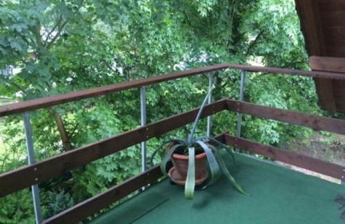 Ferienwohnungen am Krossinsee - Photo 15