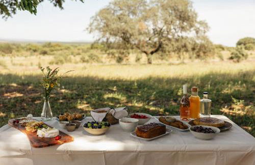 Herdade dos Abegões - Foto 54