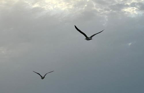 Don Juan, 99 - Photo 37