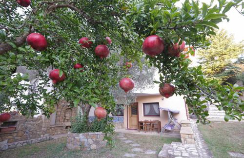 ASLANIS SOUROTI Family Home - Photo 1