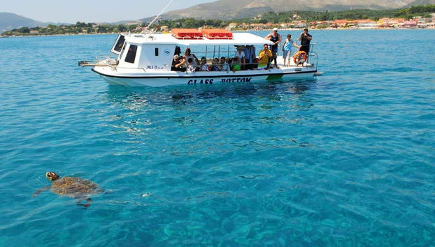 Vendo tartarugas do barco